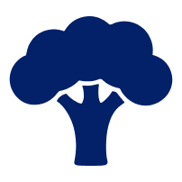 broccoli Icon