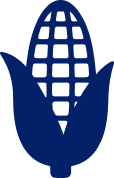 corn icon